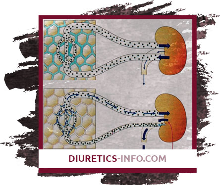 Diuretics mechanism of action