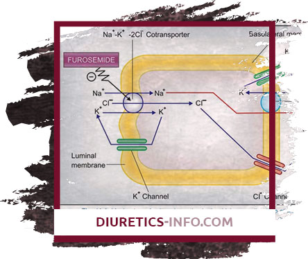 Buy Furosemide